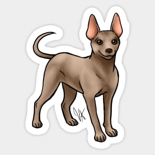 American Hairless Terrier - Gold Sticker